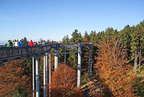 Köpplwirt Newsbeitrag Baumwipfelwege Bayerischer Wald